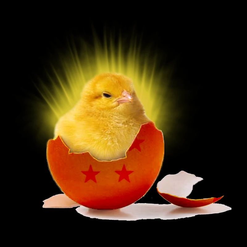 poussin_super_saiyan