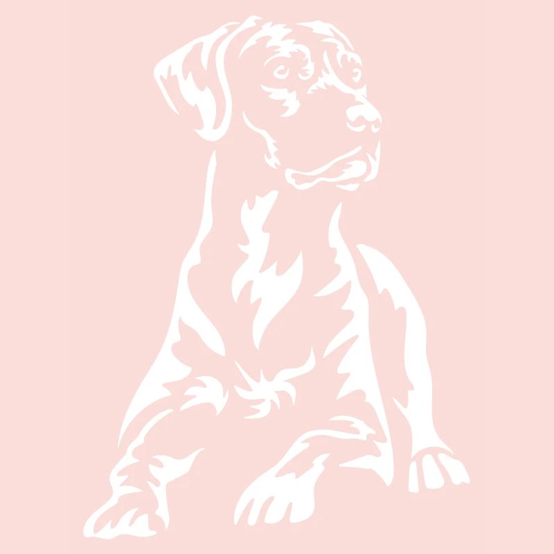 Rhodesian Ridgeback « Black Edition »