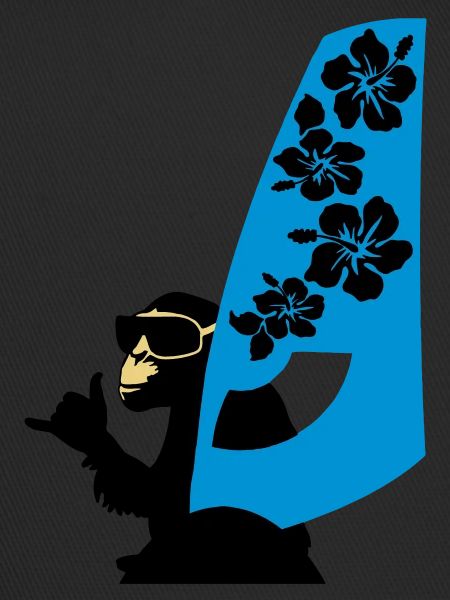 windsurfer