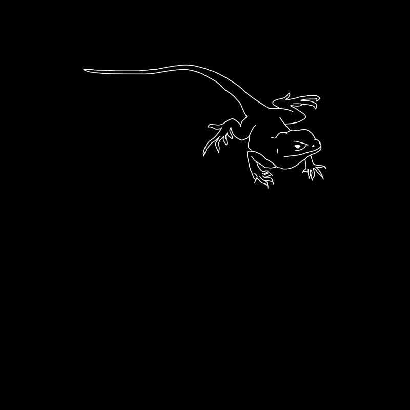 lézard