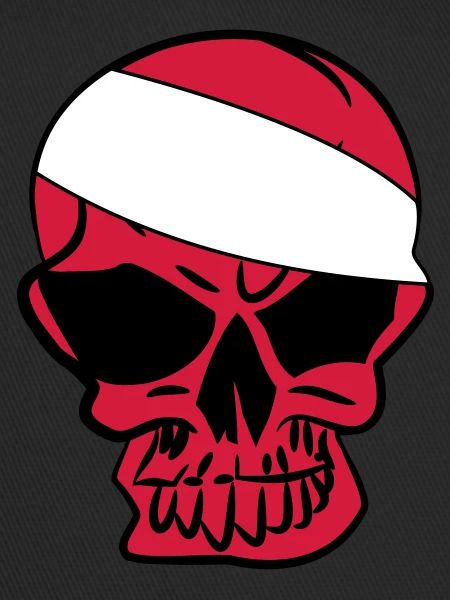 Anarcho Skull Anarchy anarchy