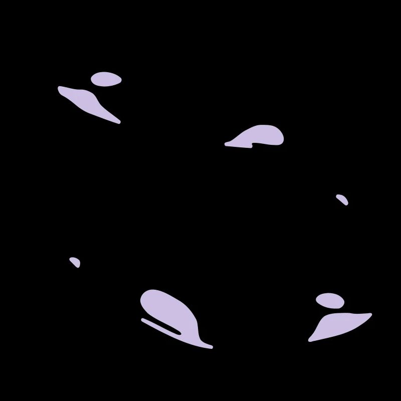 2 Schwertwale