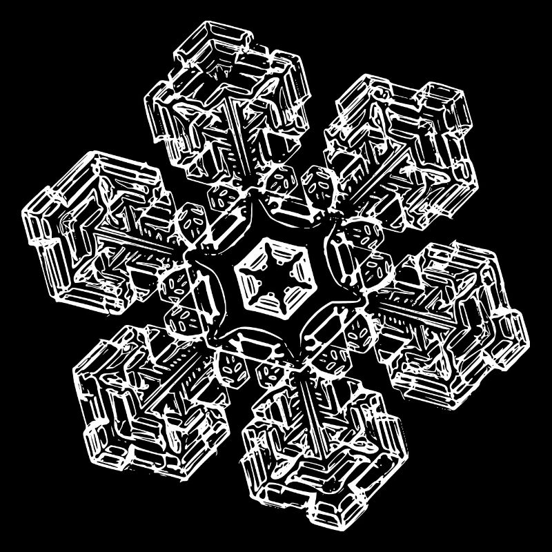 snowflake 10 white