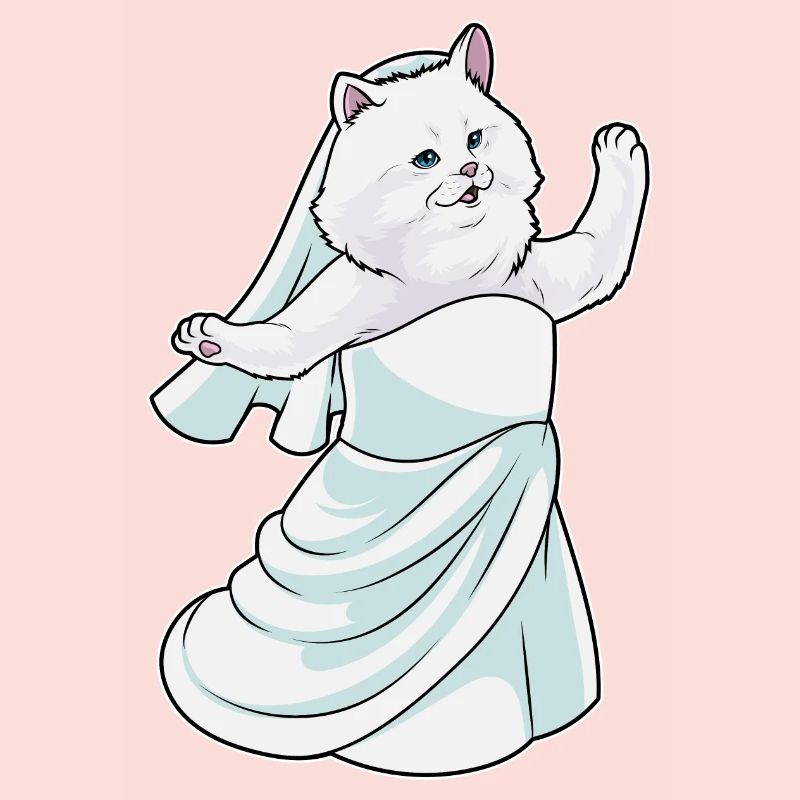 Chat persan robe de mariée