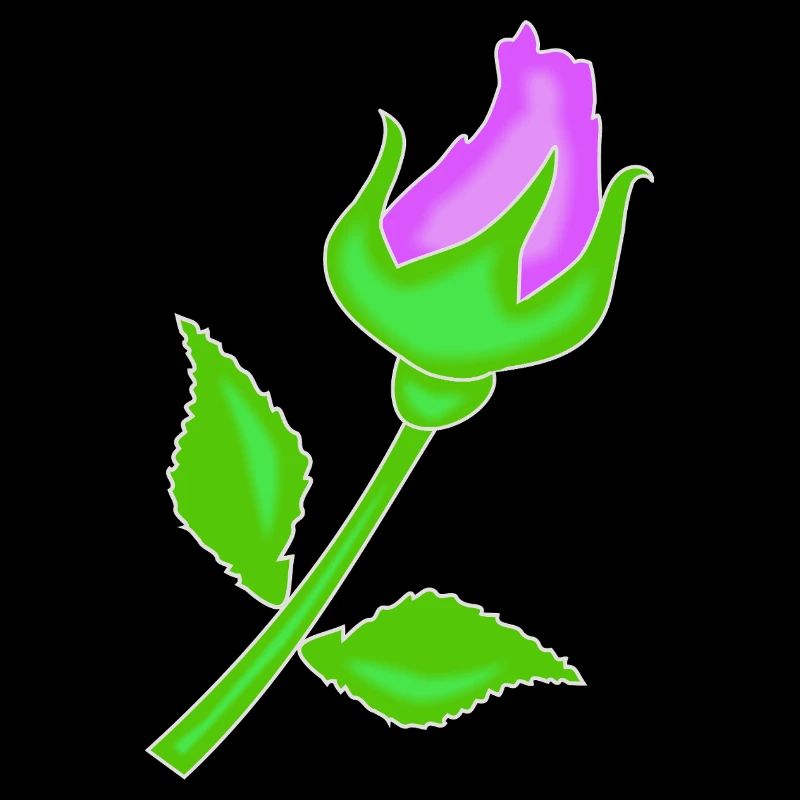 Rose dans une teinte violette