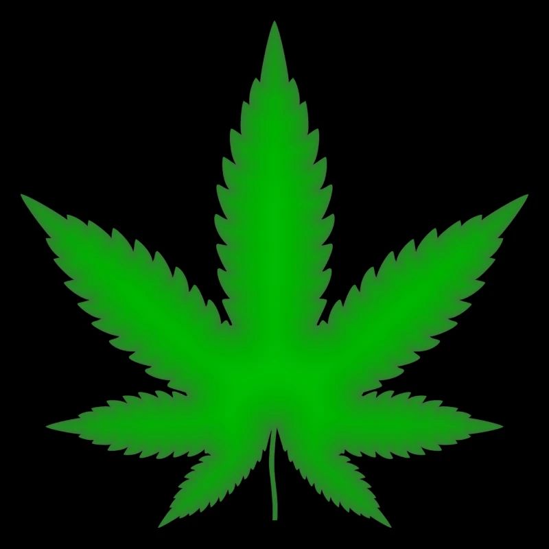 Feuille de marijuana