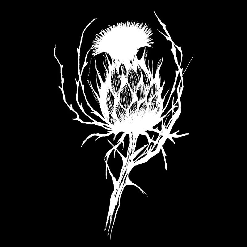 La délicate menace de la fleur de chardon