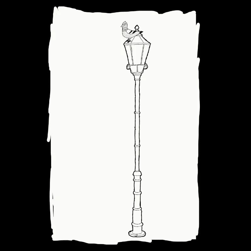 colombe