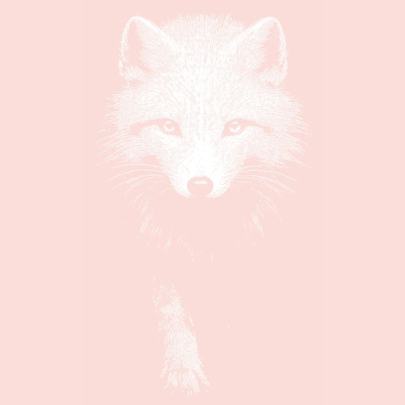 Polarfuchs