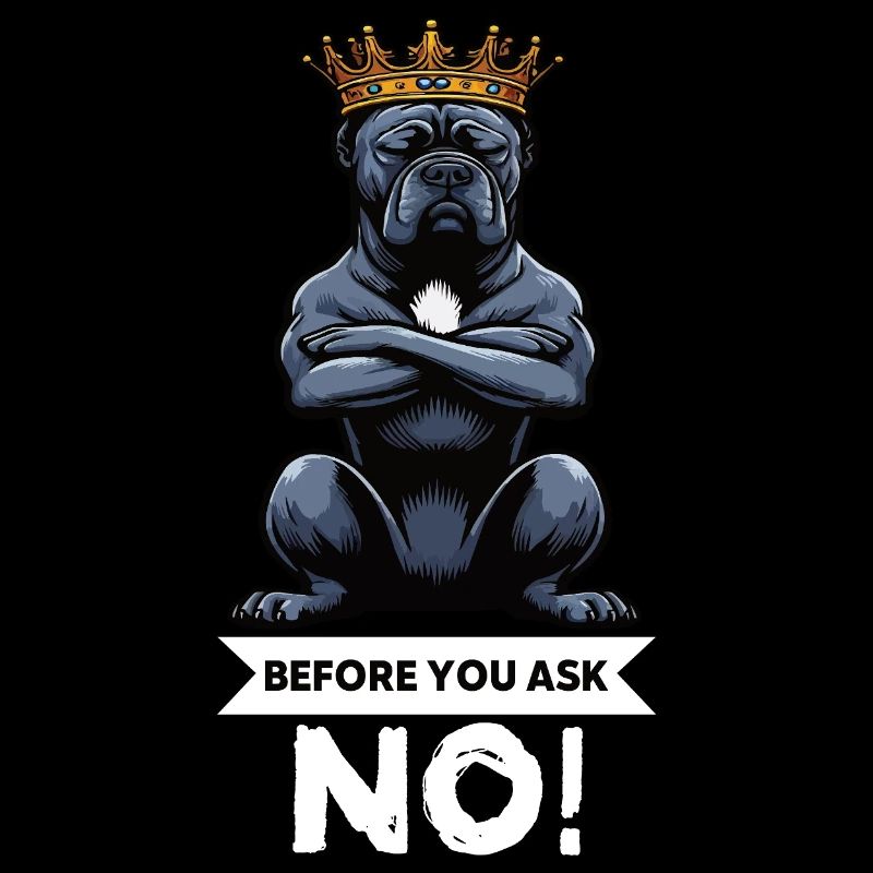 Before You Ask Cane Corso Cane Corsos Corso halter