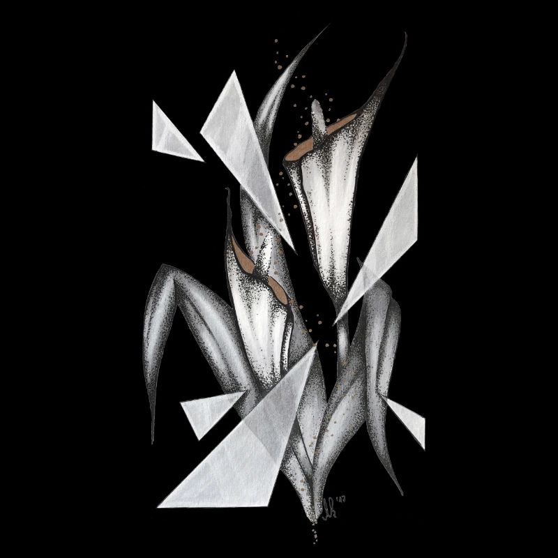 Calla