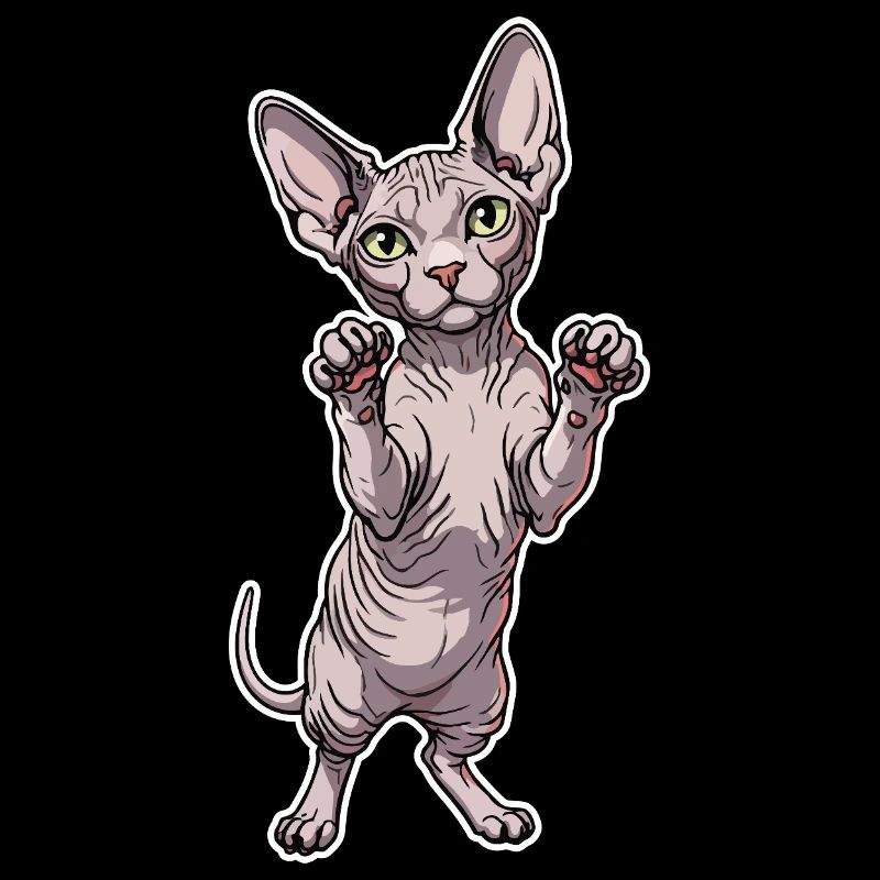 Cute Sphynx Cat Standing Posture Portrait