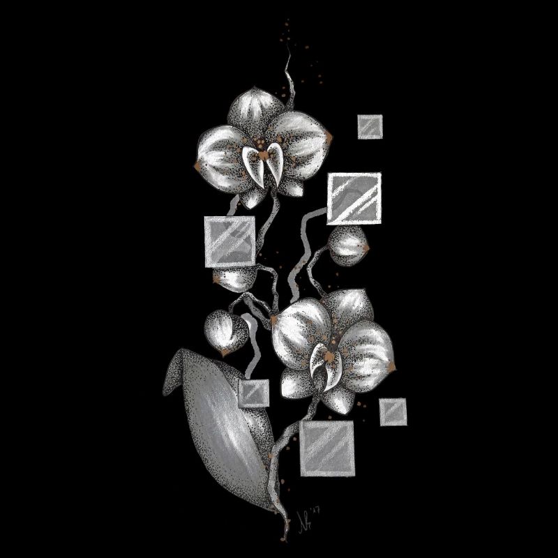 orchidée
