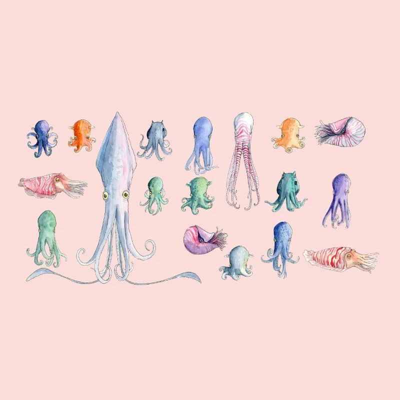 Oktopus rapport