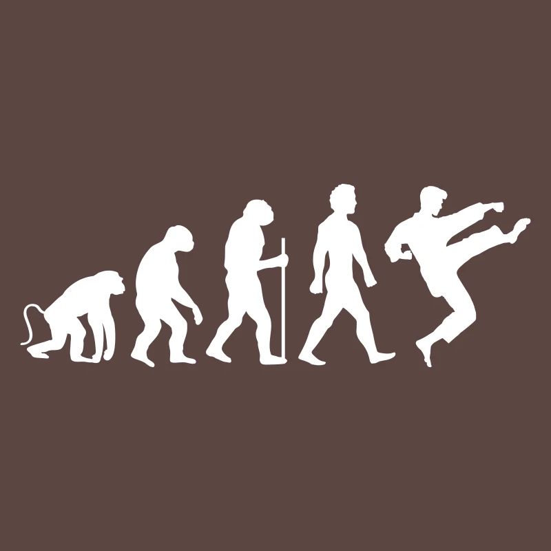Karaté Évolution