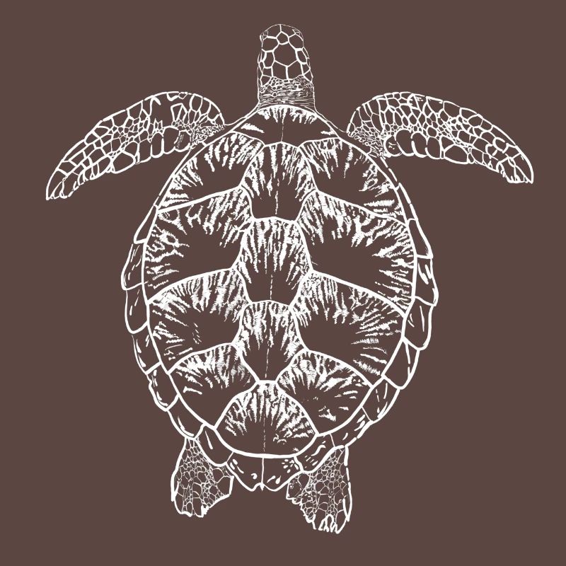 Turtle white2