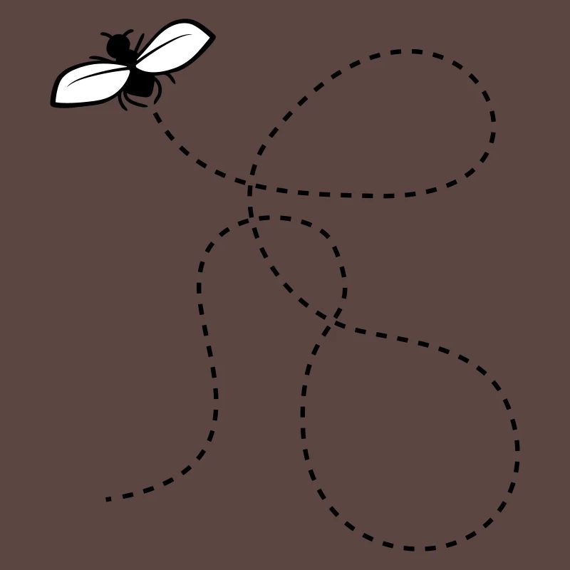 Dashed Line Fly