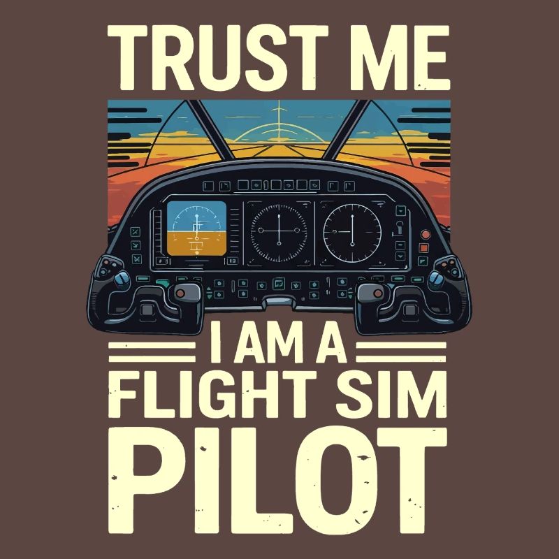 Vertrau mir ich bin ein Flugsimulatorpilot