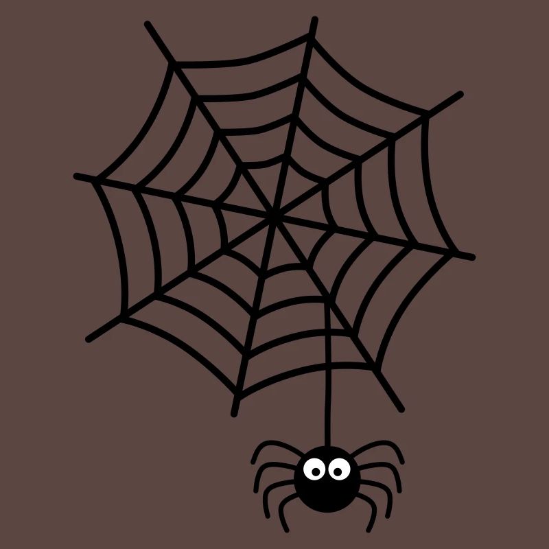 Spiderweb Spider