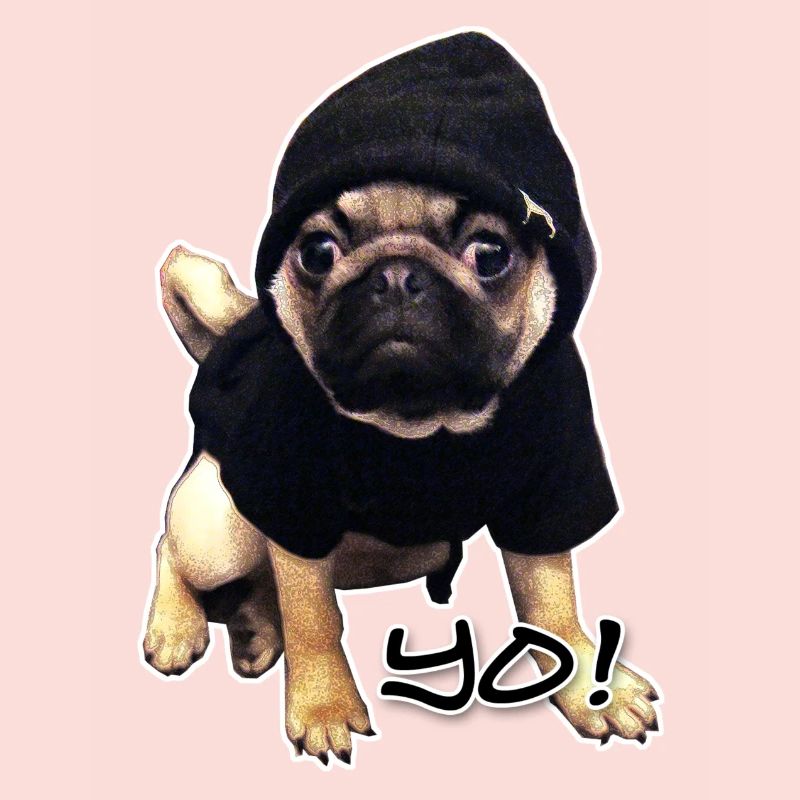 yo_mops_3