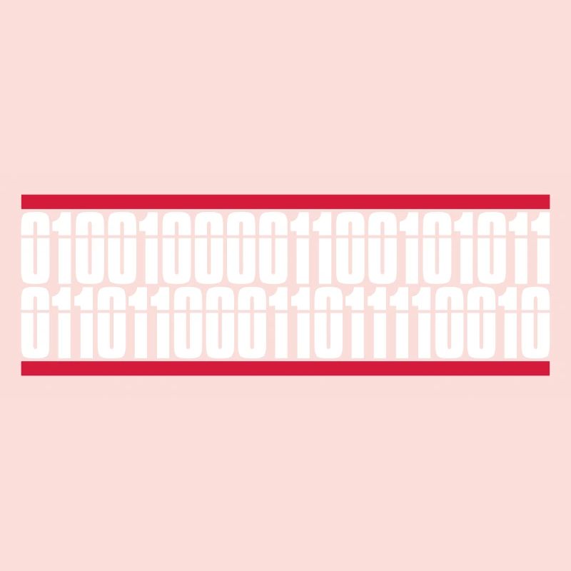 Langage de programme de code binaire