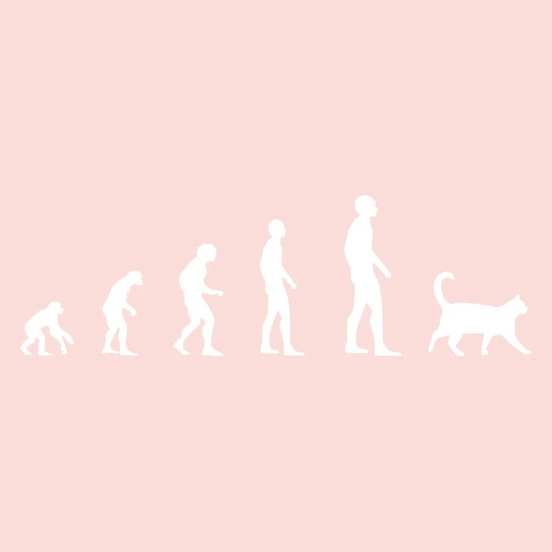 Katze – Evolution
