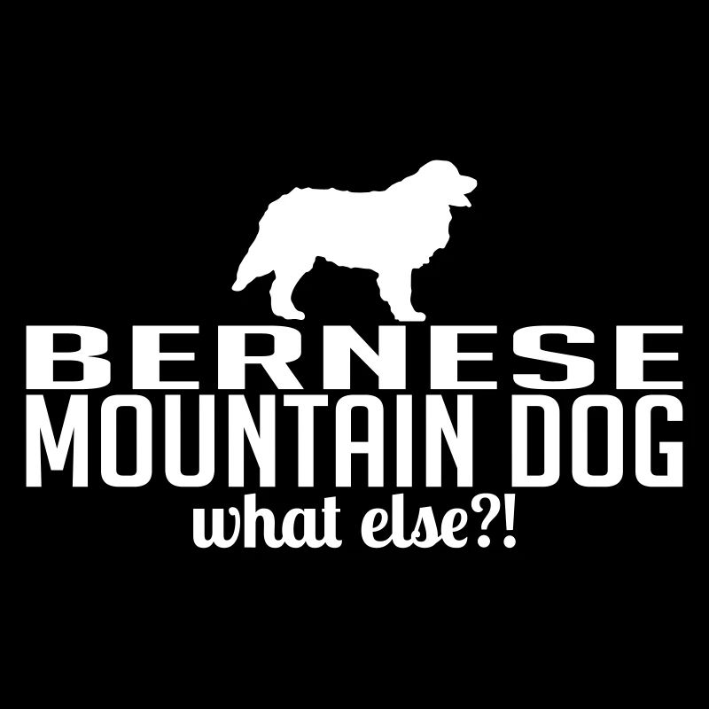 BERNESE MOUNTAIN DOG what else
