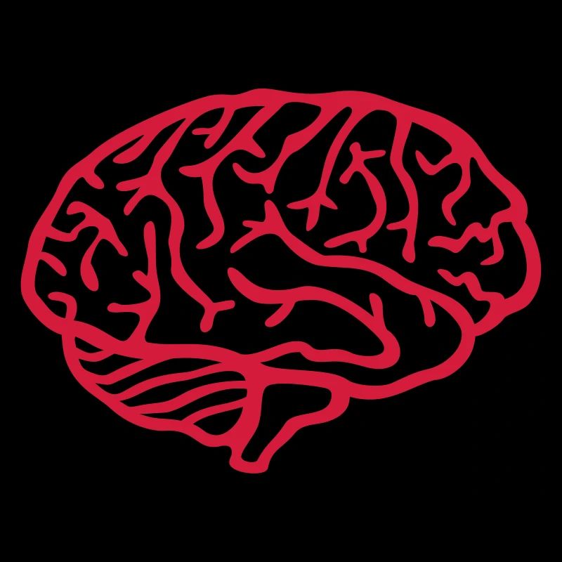 Brain