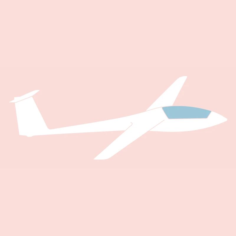 Ls3a glider glider pilot