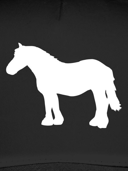 Kaltblut Pferd