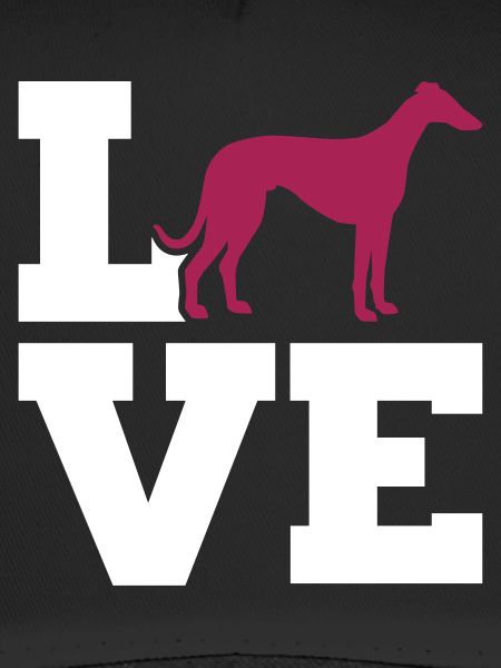 Whippet
