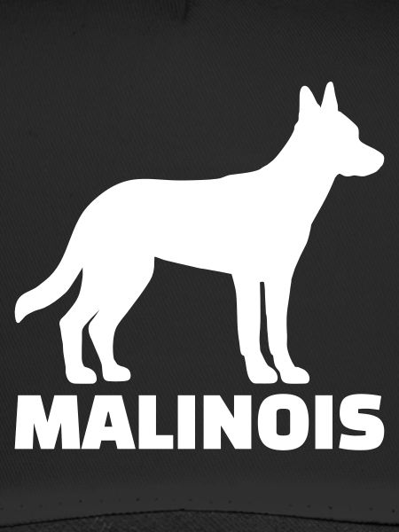 Malinois