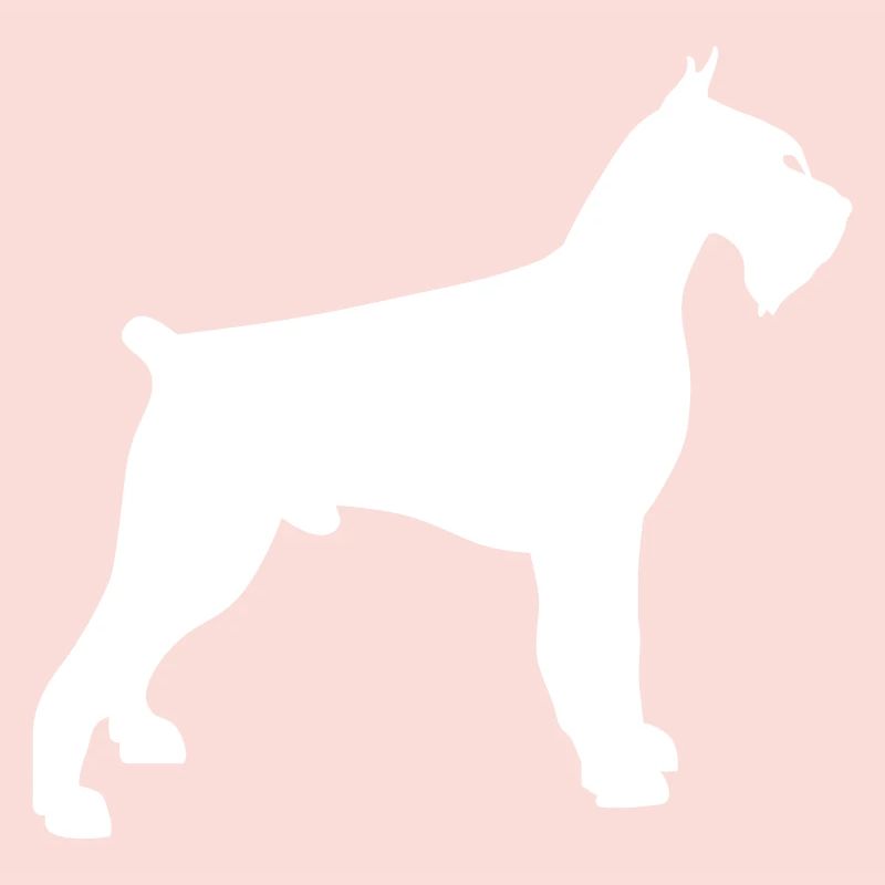 schnauzer géant