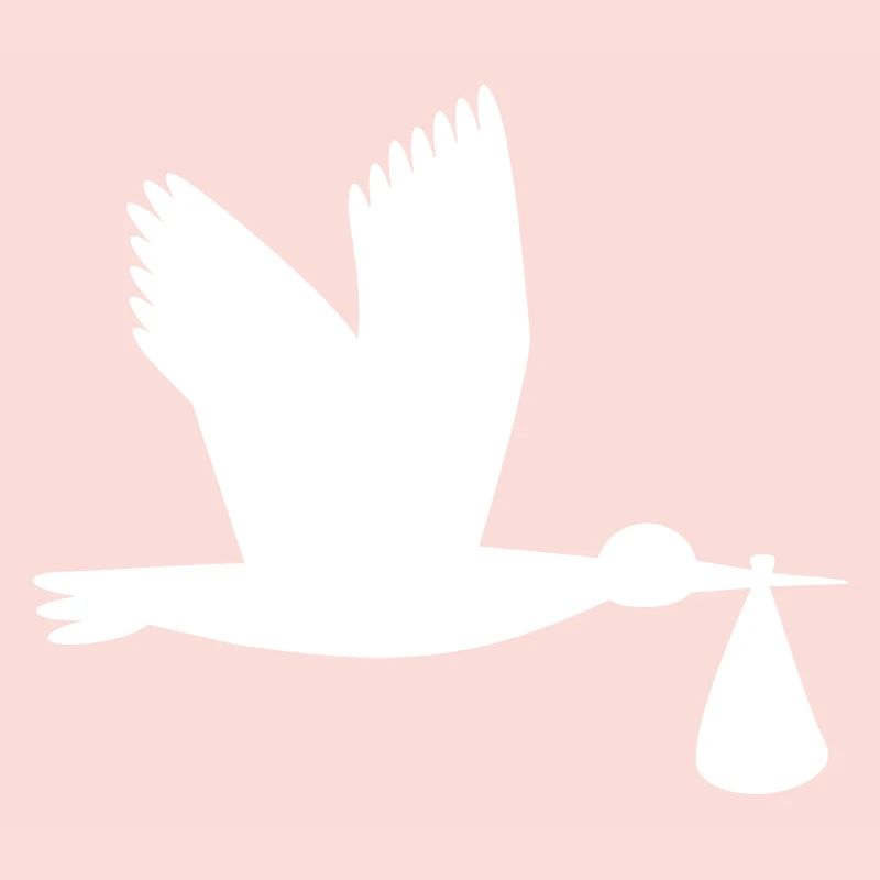 Storch