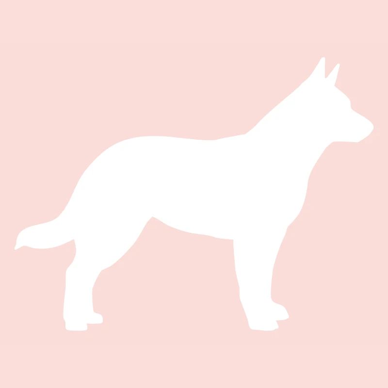 Australian cattle dog