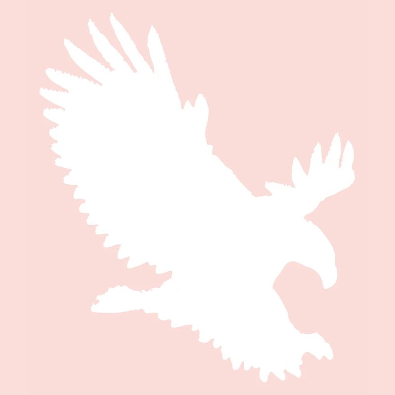 Eagle approaching