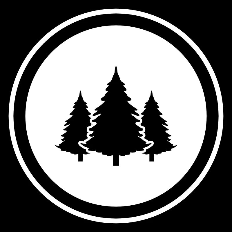 Tree Fir Forest