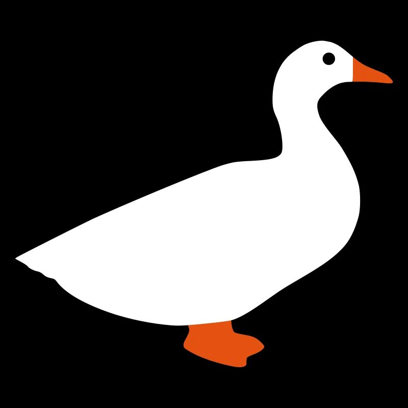 ★ design colors changeable ★ domestic duck