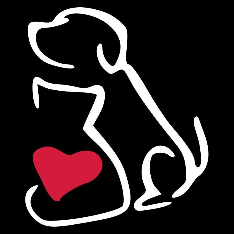 hunde katzen liebe