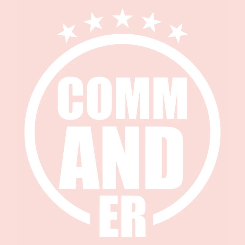 Commandant - Capitaine pilote militaire