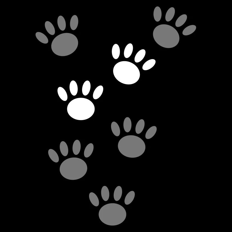 pattes de chien