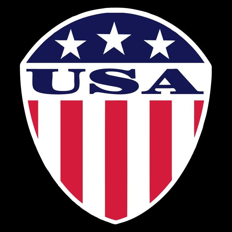 USA Flag Logo