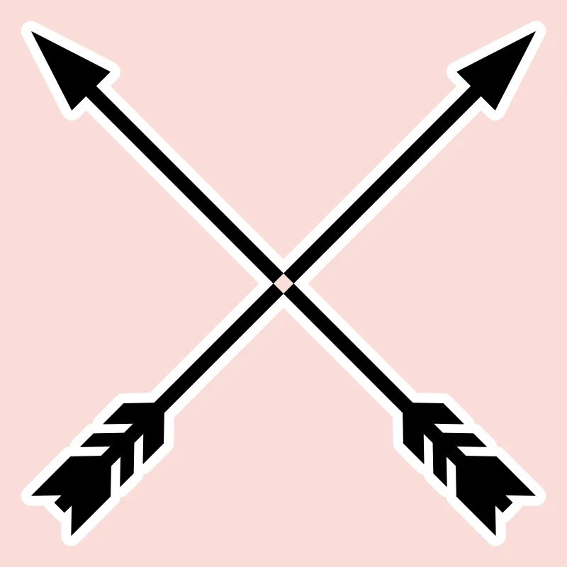 Crossed Arrows With Frame Vector