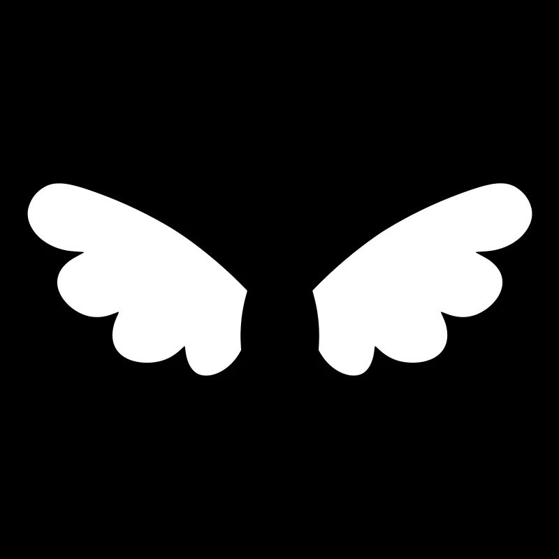Ailes d'ange - ailes d'anges