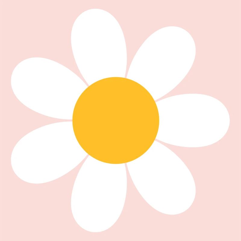 Daisy Flower