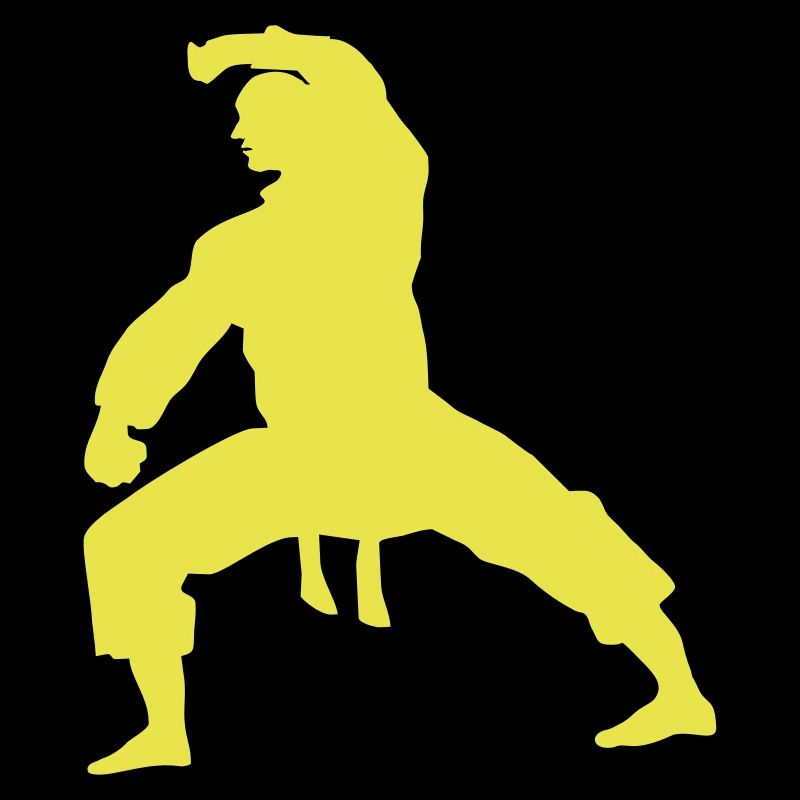 fighter