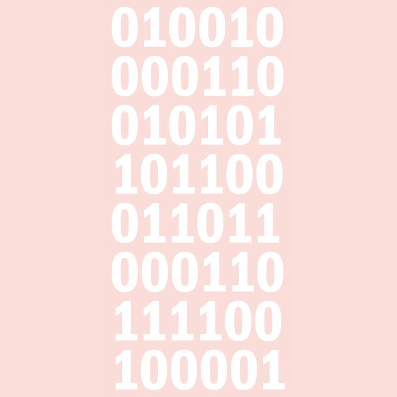 Langage de programme de code binaire