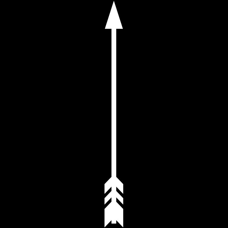 Arrow Vector