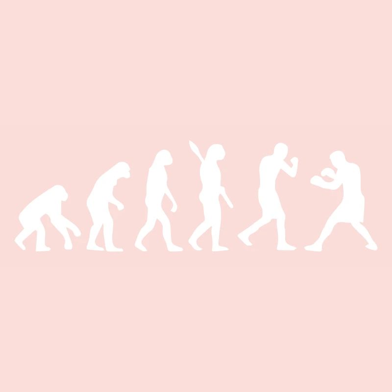Evolution Boxing