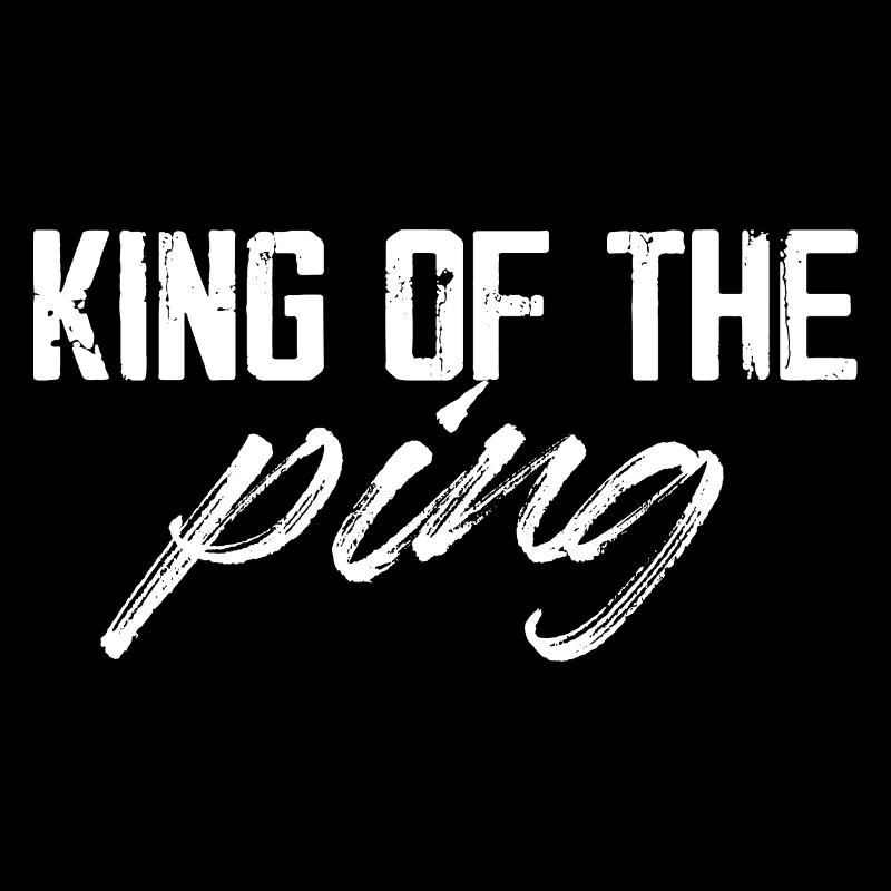 roi du ping Conception d’un réseau informatique